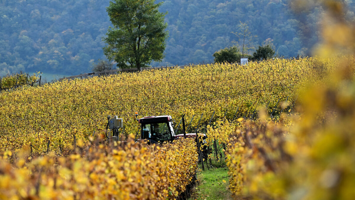 Parlament je pripravený začať rokovania o zjednodušení poľnohospodárskych zákonov EÚ.