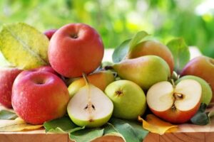 Prečo jesť jablká a hrušky? Čistia organizmus, majú veľa vlákniny a zaženú hlad.