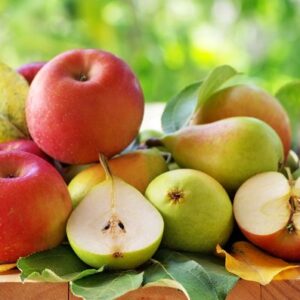 Prečo jesť jablká a hrušky? Čistia organizmus, majú veľa vlákniny a zaženú hlad.