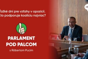 Parlament pod palcom: O opozičnom divadle, hádkach a podpore koalície