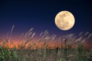 Kométy, padajúce hviezdy aj super spln. Októbrová obloha sľubuje veľkolepú podív...