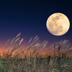 Kométy, padajúce hviezdy aj super spln. Októbrová obloha sľubuje veľkolepú podív...