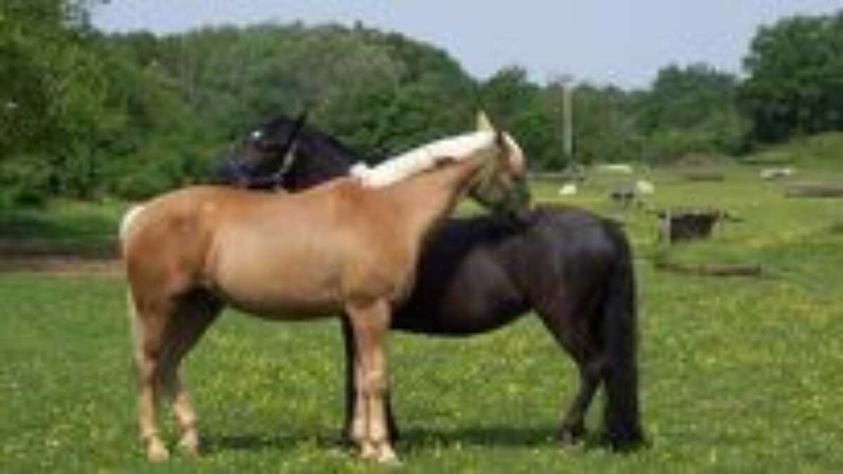 4 tipy, ako byť pre svojich najbližších oporou