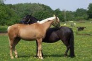 4 tipy, ako byť pre svojich najbližších oporou