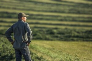 Farmárske bankroty prudko stúpajú kvôli nízkym cenám plodín, zatiaľ čo Trump zva...