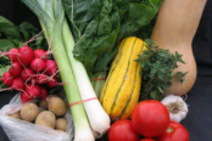 Čo jesť a piť, aby ste neboli cítiť potom?