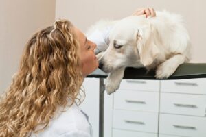 Syndróm vyhorenia, agresia v ambulancii. „Sme aj psychológovia pre ľudí,&#...