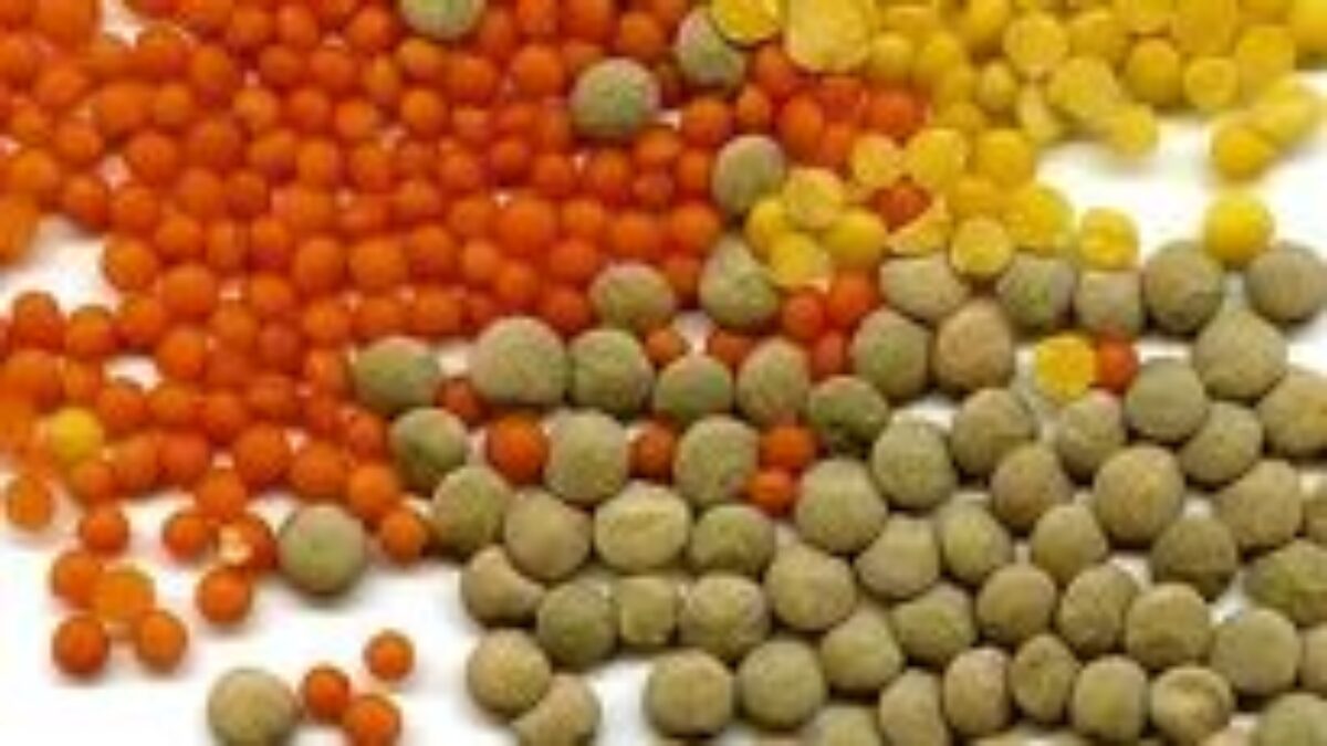 6 potravín, ktoré v letnom jedálničku nesmú chýbať