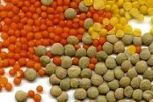 6 potravín, ktoré v letnom jedálničku nesmú chýbať