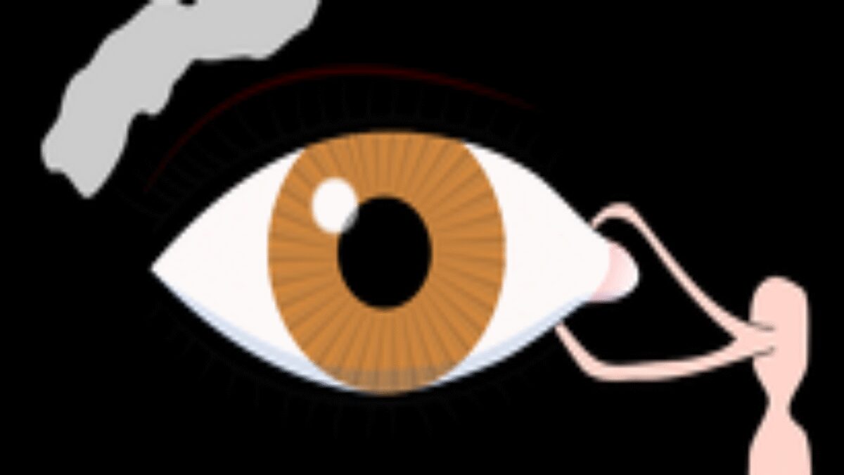 10 tipov pre zdravé oči