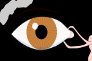 10 tipov pre zdravé oči