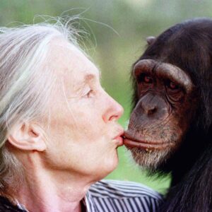 Pár vzácnych chvíľ s Jane Goodallovou: nestratila sa medzi šimpanzmi ani v Simps...