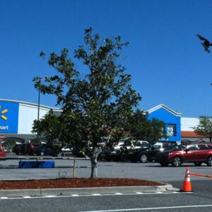 Walmart teraz plánuje zaviesť doručovanie pomocou dronov do „väčšiny oblastí, v ...