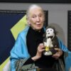 Zomrela slávna biologička a ochrankyňa prírody Jane Goodall.