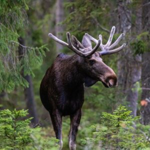 Emil zmizol z radaru. Nič sa mu nestalo, príčina je technická.