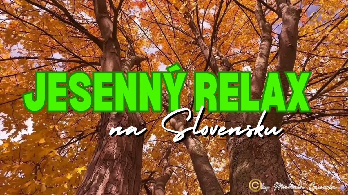 🌲 JESENNÝ RELAX: Večer sychravej jesene na Slovensku