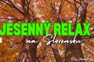 🌲 JESENNÝ RELAX: Večer sychravej jesene na Slovensku