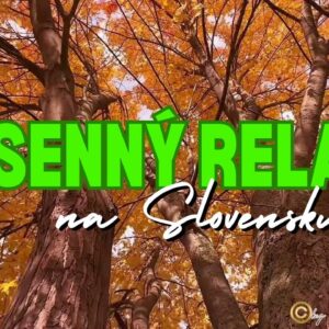 🌲 JESENNÝ RELAX: Večer sychravej jesene na Slovensku