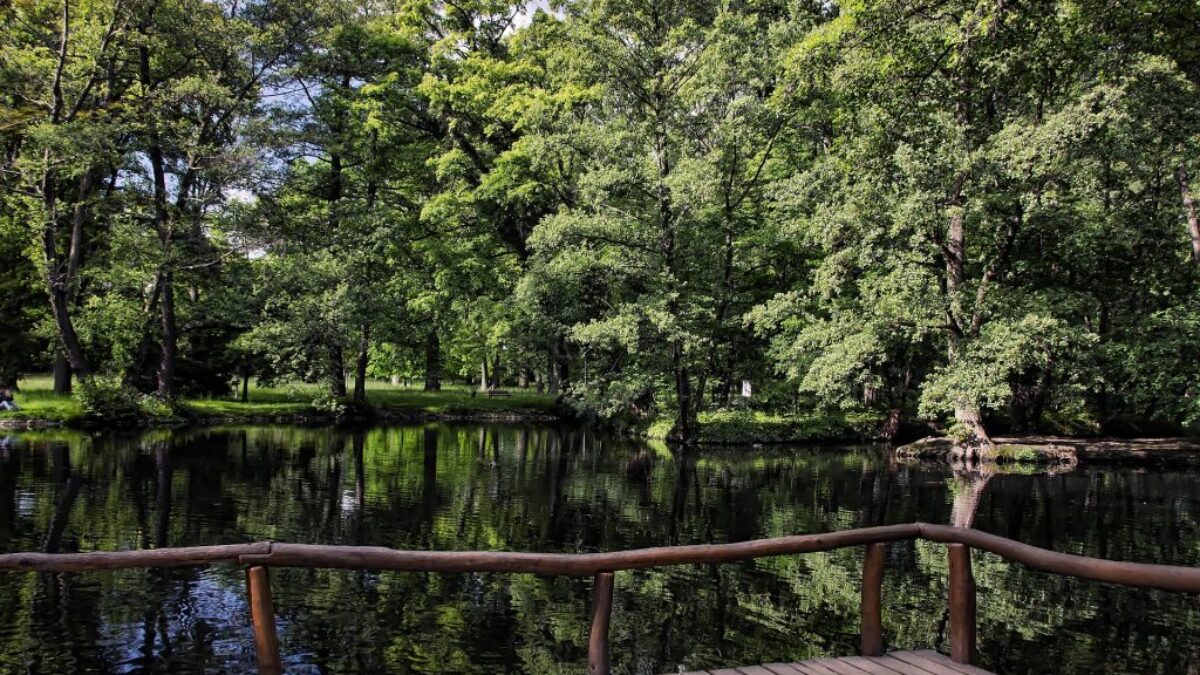 tip na výlet: krásnymi lesmi malých karpát z pezinka na babu BSK: Tip na výlet: Krásnymi lesmi Malých Karpát z Pezinka na Babu