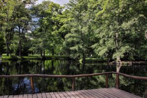 BSK: Tip na výlet: Krásnymi lesmi Malých Karpát z Pezinka na Babu