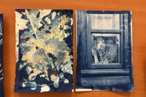 BSK: Mokrá kyanotypia so Šimonom Luptákom: deň plný modrých experimentov a tvori...