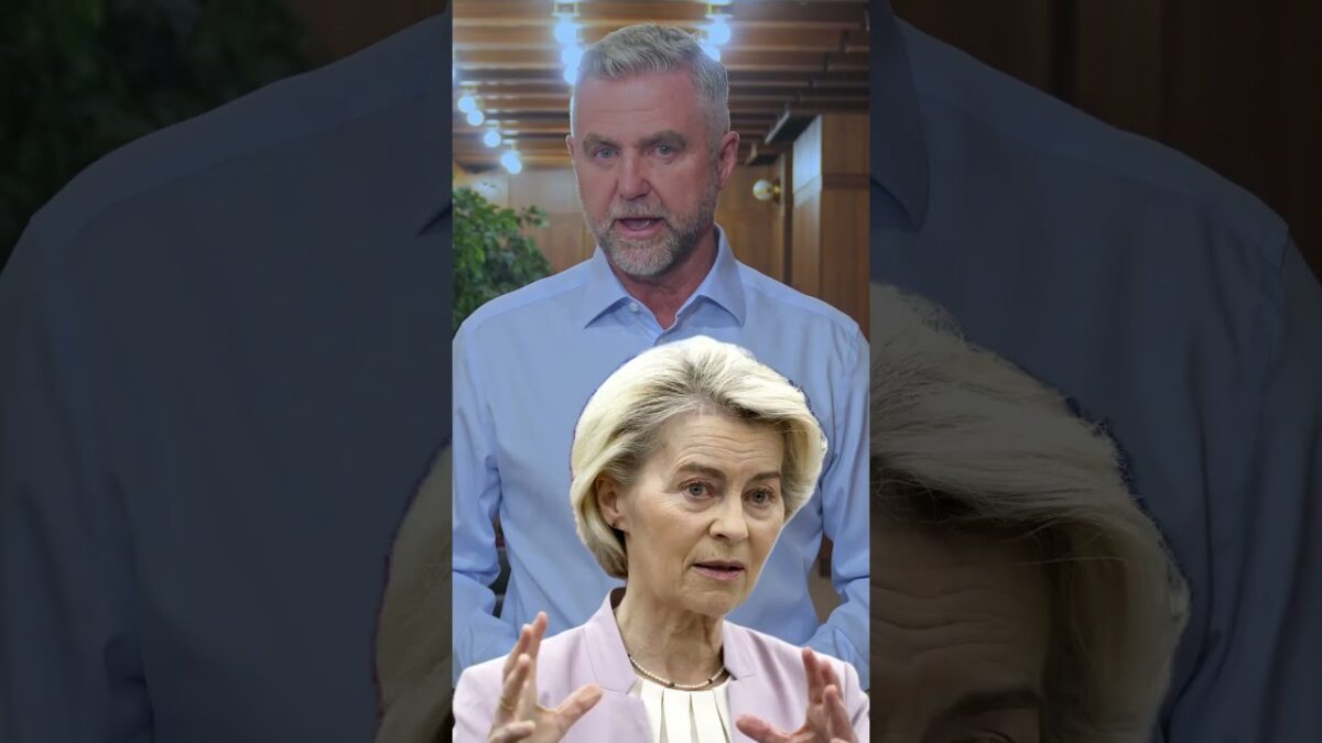 T. Gašpar: Keď kritizuješ EÚ, trpí aj tvoj päťročný syn