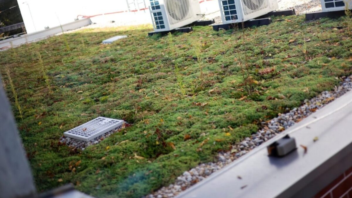 prvá pilotná investícia projektu #greencities je dokončená: Šamorín má zelenú strechu na základnej umeleckej škole BSK: Prvá pilotná investícia projektu #greencities je dokončená: Šamorín má zelenú strechu na základnej umeleckej škole