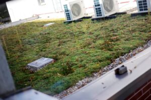 BSK: Prvá pilotná investícia projektu #greencities je dokončená: Šamorín má zele...