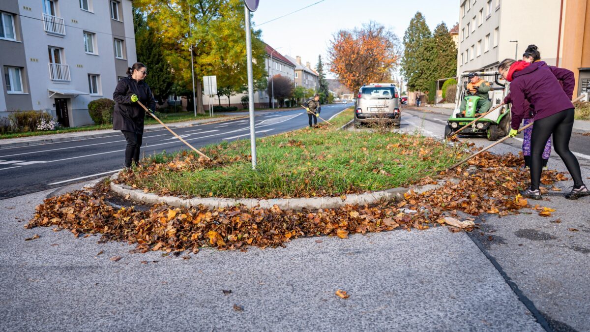 Mesto Nové Mesto nad Váhom: Zber jesenného lístia v plnom prúde