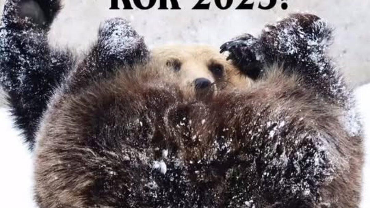 ZOO BOJNICE: Ďakujeme, rok 2025!