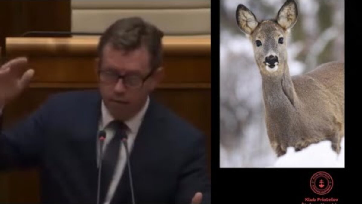 TV MY: Šmiľnák: tento „ničím a nikým nevyprovokovaný agresor“ z KDH zabil srnku v dôsledku opitosti.