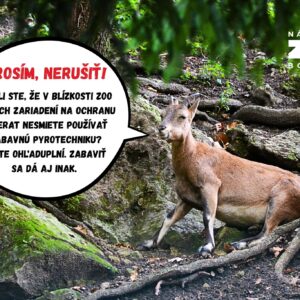 ZOO BOJNICE: Blíži sa Silvester a oslavy príchodu nového roka bývajú  náročné ni...