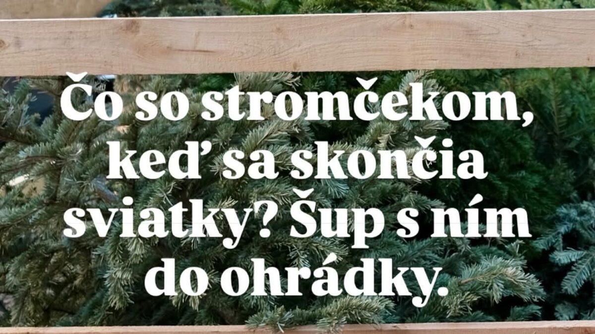 Mesto Bratislava:  Čo so stromčekom, keď sa skončia sviatky? Šup s ním do ohrádky. Aj tento rok budeme meniť bratislavské vianočné stromčeky na knižnice a užitočný mulč. Najprv ich však treba odzdobiť, rozlúčiť sa a od