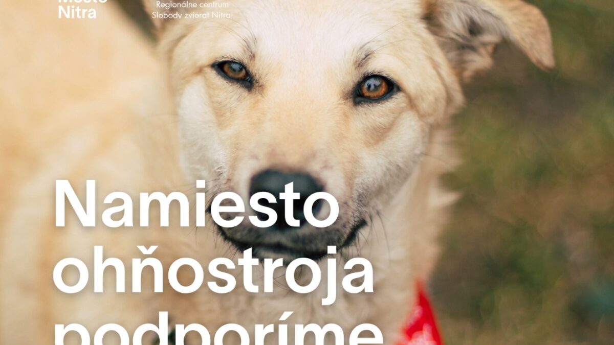 Mesto Nitra: AJ TENTO ROK MYSLÍME NA ZVIERATÁ