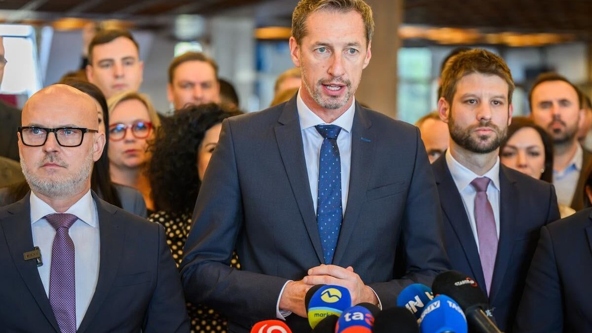 Je síce koniec roka, sviatočný čas, ľudia majú iné starosti a záujmy než sa venovať vnútornej politike a aj ja som mal zámer neprispievať na stránku o politike. Ale nedalo sa.