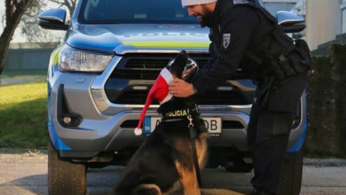 Policajti boli počas Vianoc vo vysokom nasadení. Preverili viac ako 5 500 udalostí, riešili aj bitky či domáce násilie