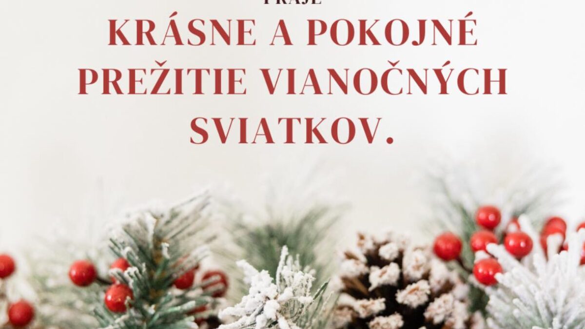 Mesto Považská Bystrica: Christmas Fantasy