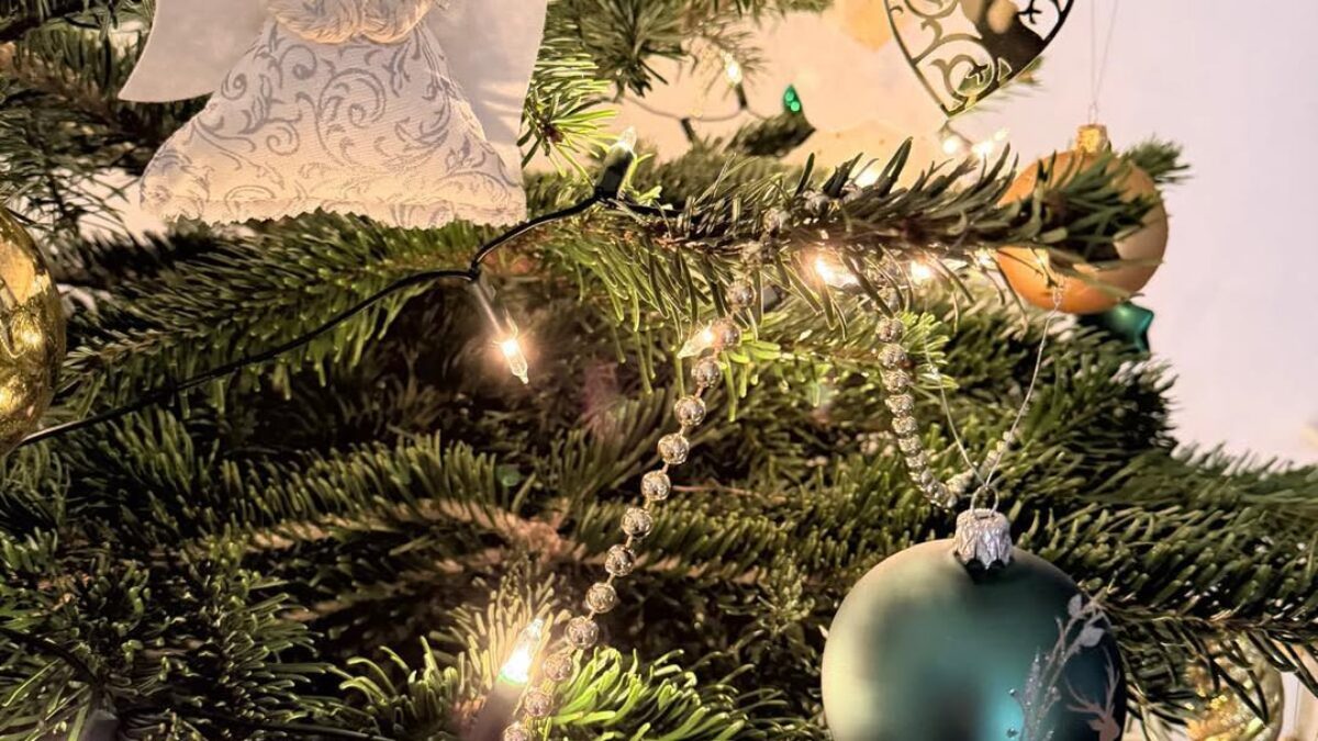 Martina Šimkovičová: Milí priatelia,