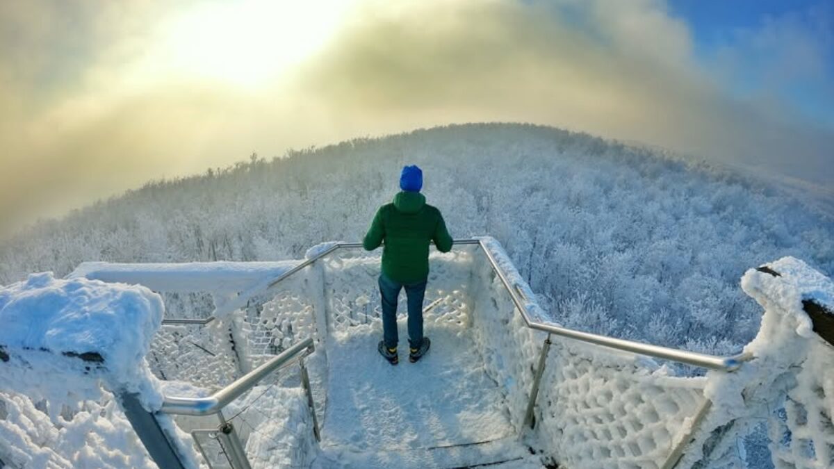 Mesto Modra: 1 person going