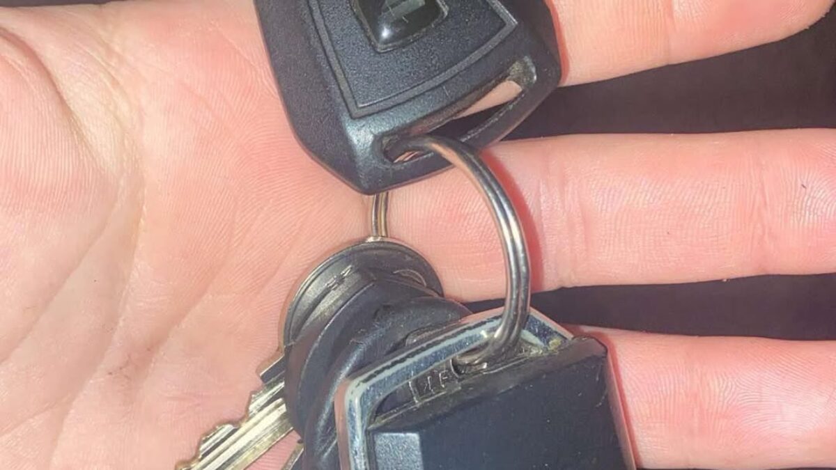Mesto Trenčianske Teplice: Nechýbajú Vám? Sú na Mestskej polícii v Trenčianskych Tepliciach.