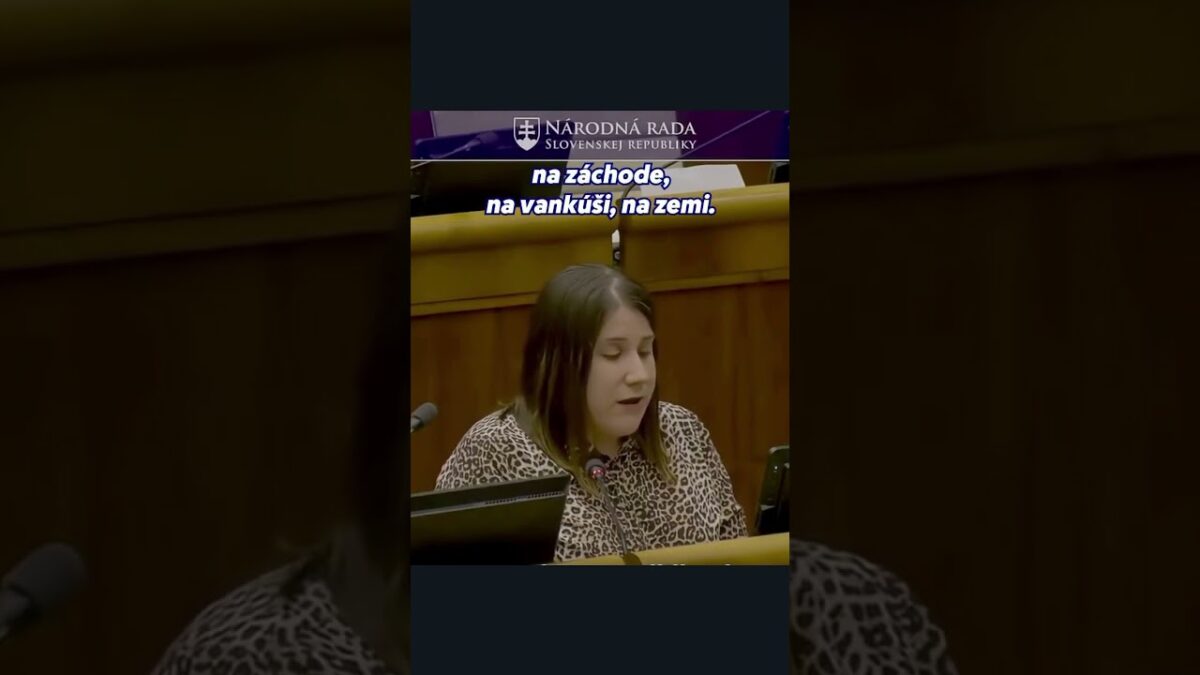 Keď sa vláde chce, tak sa dá | Veronika VESLÁROVÁ