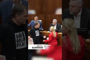 DÔKAZ, ŽE SMERÁČKA BZE HANBY KLAME