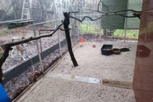 Konečná verzia Voliery vrátane úpravy vnútra…..