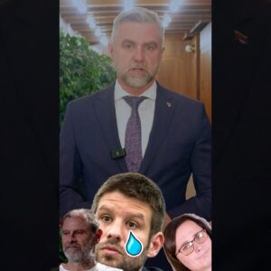 T. Gašpar: Slovensko a Česko opäť spolu. Progresívci nech sa pokojne aj hádžu o ...