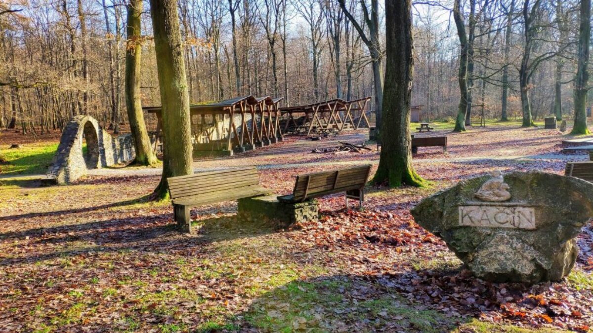 tip na výlet: zimné lesy nad metropolou BSK: Tip na výlet: Zimné lesy nad metropolou