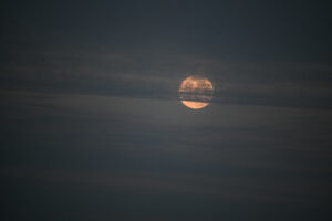 BSK: ✨ Magická obloha nad Bratislavou