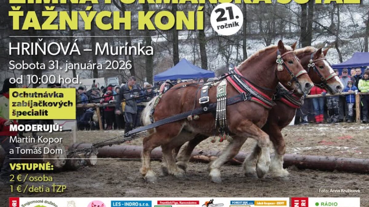 Mesto Hriňová: Интересуются: 26