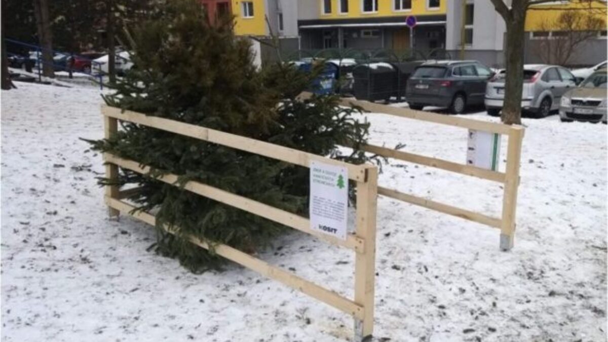 Košice rozbehli zber vianočných stromčekov, občania ich môžu odkladať ku kontajnerom alebo do ohrádok