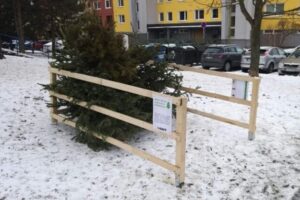 Košice rozbehli zber vianočných stromčekov, občania ich môžu odkladať ku kontajn...