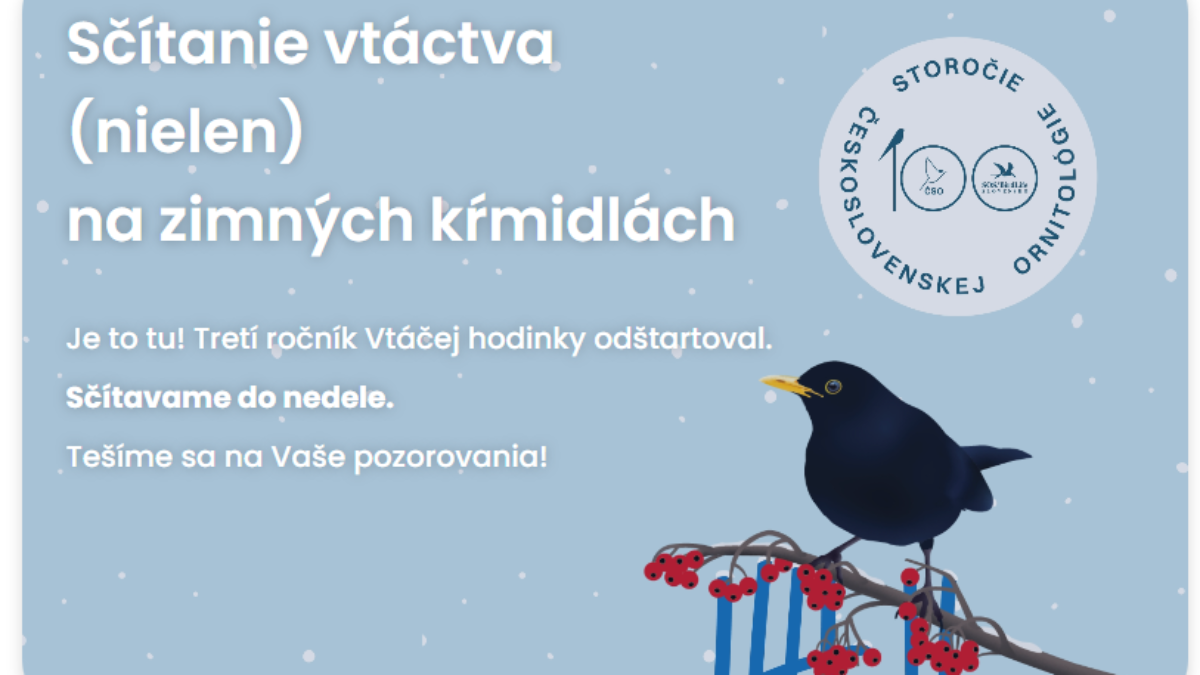 BSK: Začala sa Vtáčia hodinka